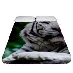 Fitted Sheet (King Size) 