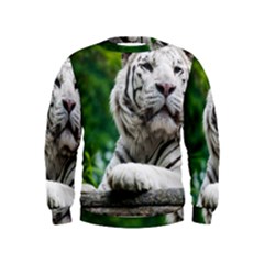 Kids  Sweatshirt 