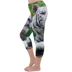 Capri Winter Leggings Back Capri Winter Leggings Back