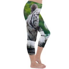 Capri Winter Leggings  
