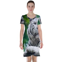 Short Sleeve Nightdress 