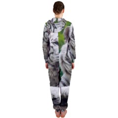 Hooded Jumpsuit (Ladies) 