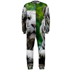 OnePiece Jumpsuit (Men) 