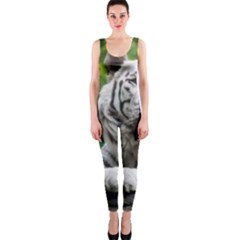 One Piece Catsuit 