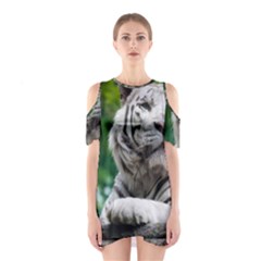 Shoulder Cutout One Piece Dress 