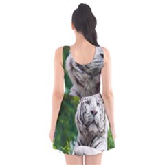 Scoop Neck Skater Dress 