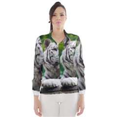 Women s Windbreaker 