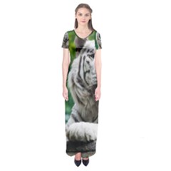 Short Sleeve Maxi Dress 