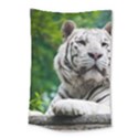 Small Tapestry Preview 1