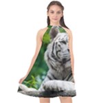 White Tiger Halter Neckline Chiffon Dress 
