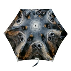 Mini Folding Umbrella 