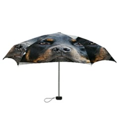 Mini Folding Umbrella 