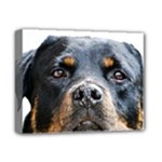 Rotwieller Deluxe Canvas 14  x 11  (Stretched)
