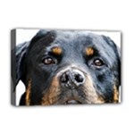 Rotwieller Deluxe Canvas 18  x 12  (Stretched)