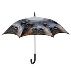 Hook Handle Umbrella (Large) 