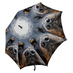 Hook Handle Umbrella (Small) 