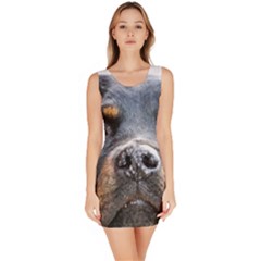Bodycon Dress 