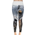 Rotwieller Leggings 