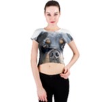 Rotwieller Crew Neck Crop Top