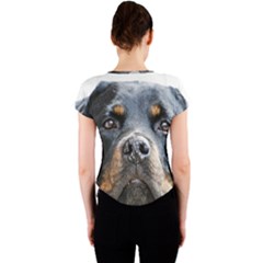 Crew Neck Crop Top 
