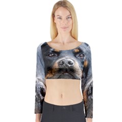 Long Sleeve Crop Top 