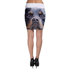 Bodycon Skirt 