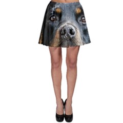 Skater Skirt 