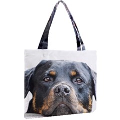 Mini Tote Bag 