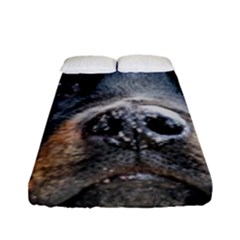 Fitted Sheet (Full/ Double Size) 