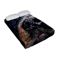 Fitted Sheet (Full/ Double Size) 