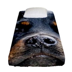 Fitted Sheet (Single Size) 
