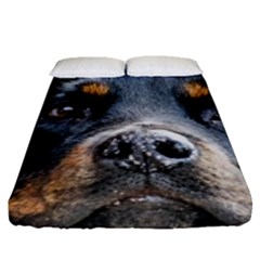Fitted Sheet (Queen Size) 