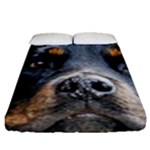 Rotwieller Fitted Sheet (Queen Size)