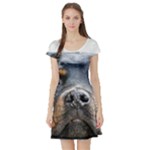 Rotwieller Short Sleeve Skater Dress