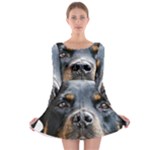 Rotwieller Long Sleeve Skater Dress