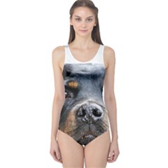 One Piece Swimsuit 