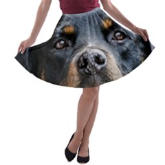 A-line Skater Skirt 