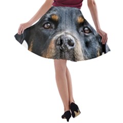 A-line Skater Skirt 