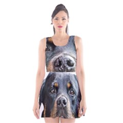 Scoop Neck Skater Dress 