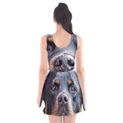 Scoop Neck Skater Dress 