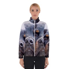 Women s Bomber Jacket 
