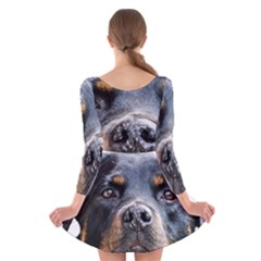 Long Sleeve Velvet Skater Dress 