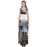 Rotwieller Empire Waist Maxi Dress