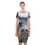 Rotwieller Classic Short Sleeve Midi Dress