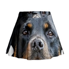 Mini Flare Skirt 