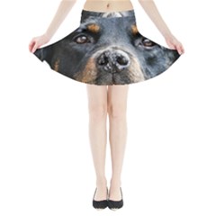 Mini Flare Skirt 