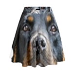 Rotwieller High Waist Skirt