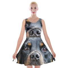 Velvet Skater Dress 