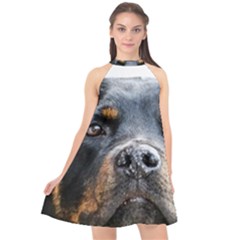 Halter Neckline Chiffon Dress  