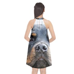 Halter Neckline Chiffon Dress  